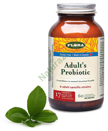 Adult’s Probiotic – probiotik pro dospělé, kapsle, 60 kusů