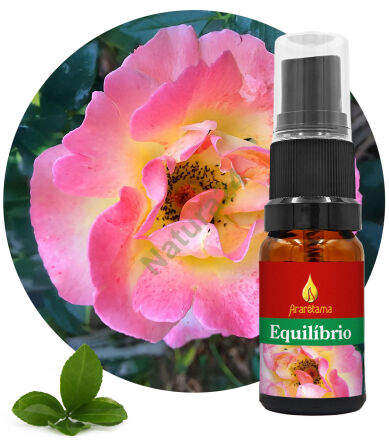 44. Equilibrum Equilíbrio 10 ml Ararêtama Esence deštného pralesa