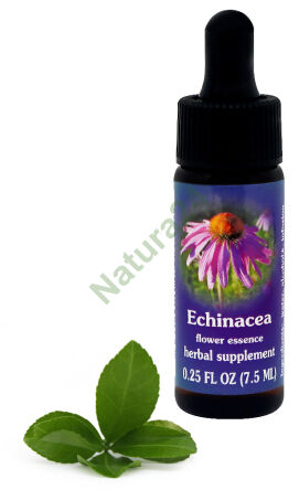 FES Echinacea 7,5 ml kapky