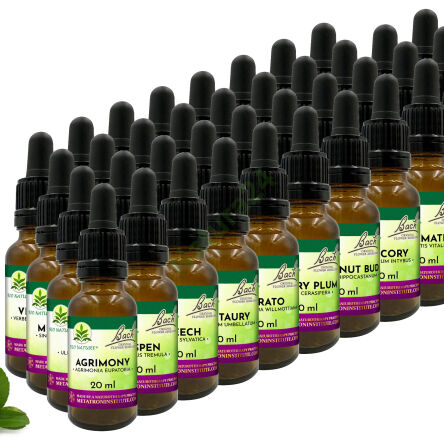 Sada 38 Kompozic Bach Original Flower Remedies Nelson 20ml + 2 lahvičky - 3