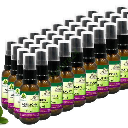 Sada 38 Kompozic Bach Original Flower Remedies Nelson 20ml + 2 lahvičky - 4