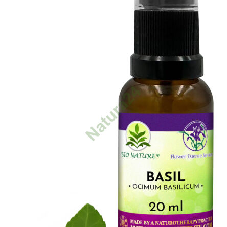 007. Basil - Kompozice FES 20ml - 2