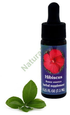 FES Hibiscus 7,5 ml kapky