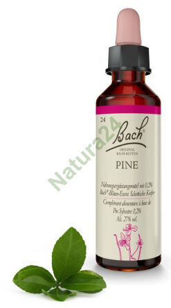 24. PINE / Borovice 20 ml Nelson Bach Original Flower Remedies deutsch