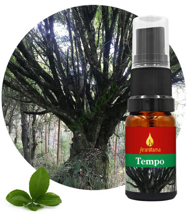 61. Time Tempo 10 ml Ararêtama Esence deštného pralesa