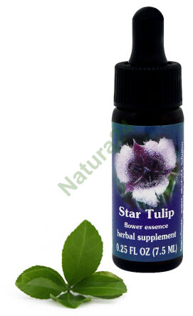 FES Hvězda Tulipán 7,5 ml kapky