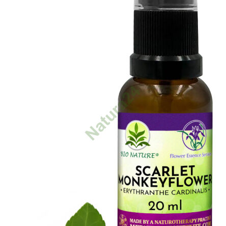 082. Šarlatová opičí květ - Kompozice FES 20ml - 2