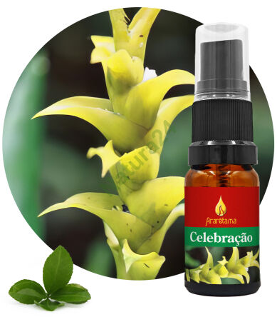 07. Oslava 10 ml Ararêtama Rainforest Essences