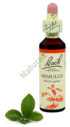 20. MIMULUS / Žlutá kapka / Blín 20 ml Nelson Bach Original Flower Remedies