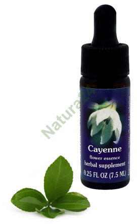 FES Kajenské 7,5 ml kapky