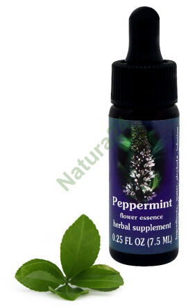 FES Máta peprná 7,5 ml kapky