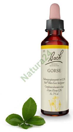 13. GORSE / Západní vřes 20 ml Nelson Bach Originální květové esence německy