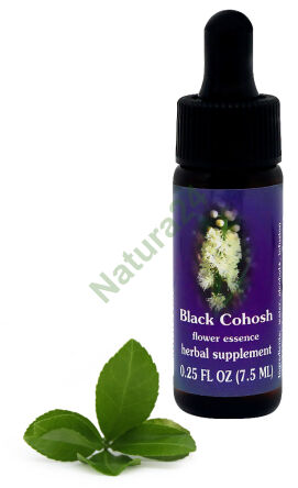 FES Černý cohosh 7,5 ml kapky