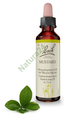 21. HOŘČICE / Hořčice polní 20 ml Nelson Bach Originální květové esence německy