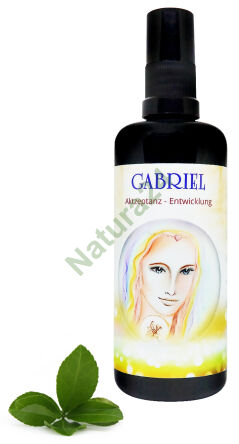 Anioły Serafina Engel Aura Sprej - GABRIEL Vývoj Rozvoj 100ml - SC-333