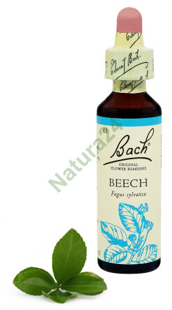 3. BUK LESNÍ / Buk lesní / červený 20 ml Nelson Bach Original Flower Remedies