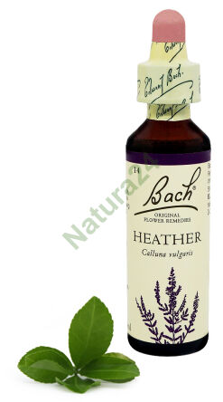 14. Vřes obecný / Heather 20 ml Nelson Bach Original Flower Remedies