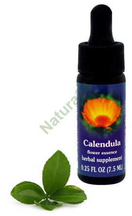 FES Calendula 7,5 ml kapky