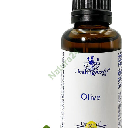 23. OLIVE / Olivka 10/30 ml nebo globulky 15 g - 3