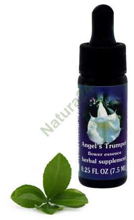 FES Andělská trumpeta 7,5 ml kapky