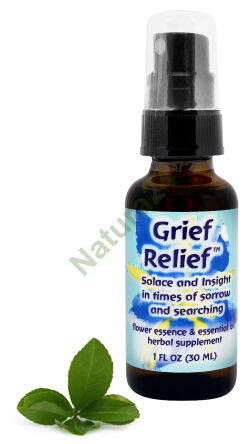 FES Grief Relief Uklidnění a vhled v době smutku a hledání 30 ml sprej