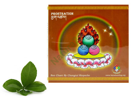 Deska Prostration -50%