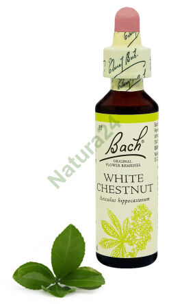35. BÍLÝ KAŠTAN / Kaštan koňský 20 ml Nelson Bach Original Flower Remedies