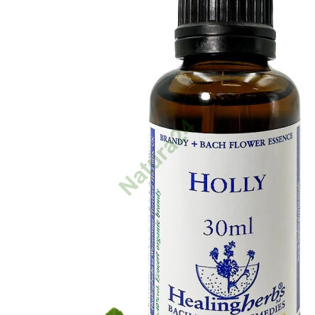 15. HOLLY / Cesmína ostrolistá 10/30 ml nebo globule 15 g - 3