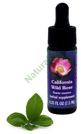 FES California Divoká Růže 7,5 ml kapky
