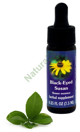 FES Černooká Susan 7,5 ml kapky