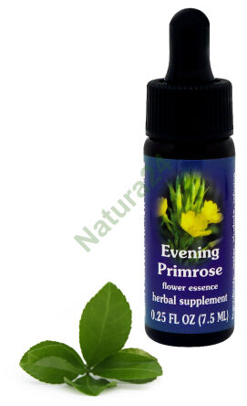 FES Pupalka večerní 7,5 ml kapky