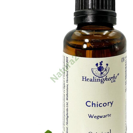 8. CHICORY / Cikorka cestovatel 10/30 ml nebo globule 15 g - 3