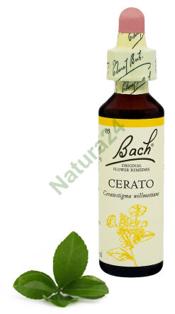 5. CERATO / Cerato 20 ml Nelson Bach Originální květové esence