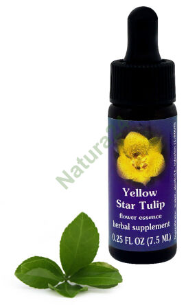FES Žlutá hvězda Tulipán 7,5 ml kapky