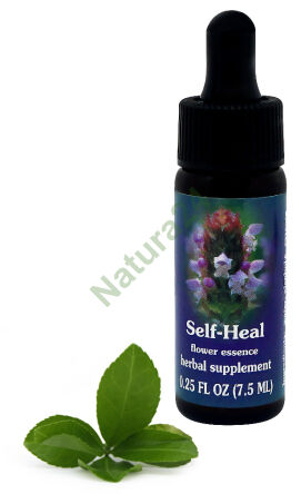 FES Self-Heal 7,5 ml kapky