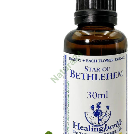 29. HVĚZDA BETLÉMSKÁ / Gwiazda Betlejemska / Šnidek baldachýnový 10/30 ml nebo globule 15 g - 3
