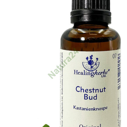 7. KAŠTANOVÝ PUPEK / Pupen kaštanu 10/30 ml nebo globule 15 g - 3