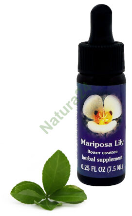 FES Mariposa Lily 7,5 ml kapky