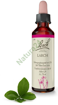 19. LARCH / Modřín evropský 20 ml Nelson Bach Original Flower Remedies deutsch