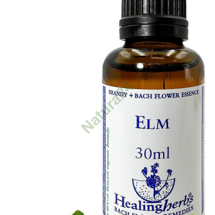 11. Jilm anglický 10/30 ml nebo globule 15 g - 3