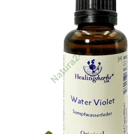 34. WATER VIOLET / Bahenní okružnice / Fialka 10/30 ml nebo globule 15 g - 3
