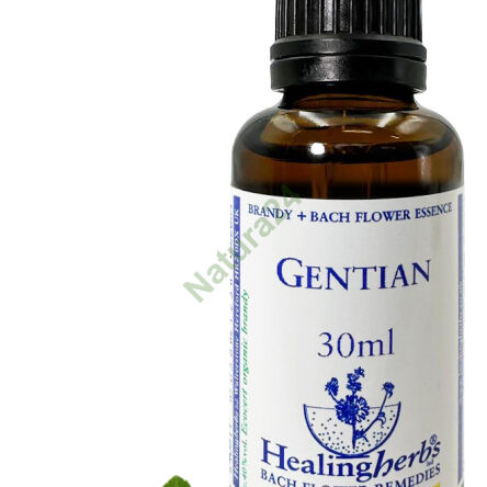 12. GENTIÁNA / Hořec hořký 10/30 ml nebo globule 15 g - 3