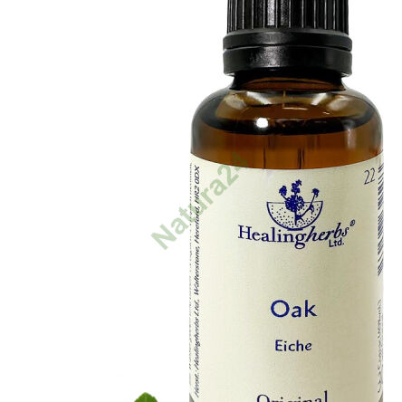 22. OAK / Dub zimní 10/30 ml nebo globule 15 g - 3