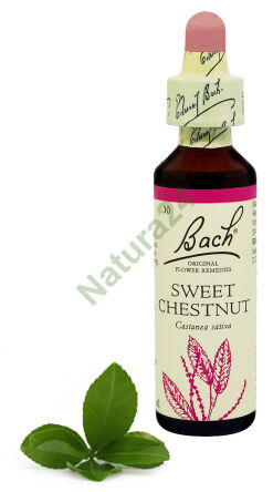 30. SLADKÝ KAŠTAN / Jedlý kaštan 20 ml Nelson Bach Original Flower Remedies anglicky
