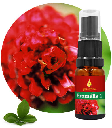 03. Bromélie 1 10 ml Ararêtama Rainforest Essences