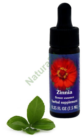 FES Zinnia 7,5 ml kapky