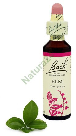 11. Jilm anglický / Wiąz anglický 20 ml Nelson Bach Original Flower Remedies