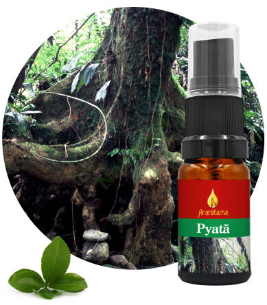 23. Pyatã 10 ml Ararêtama Esence deštného pralesa