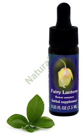 FES Víla Lucerna 7,5 ml kapky