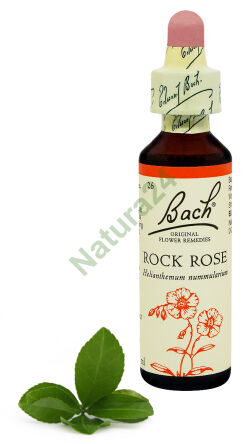 26. ROCK ROSE / Poslaneček chlupatý 20 ml Nelson Bach Original Flower Remedies anglicky